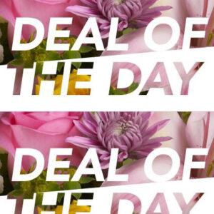 Deal of the Day Bouquet